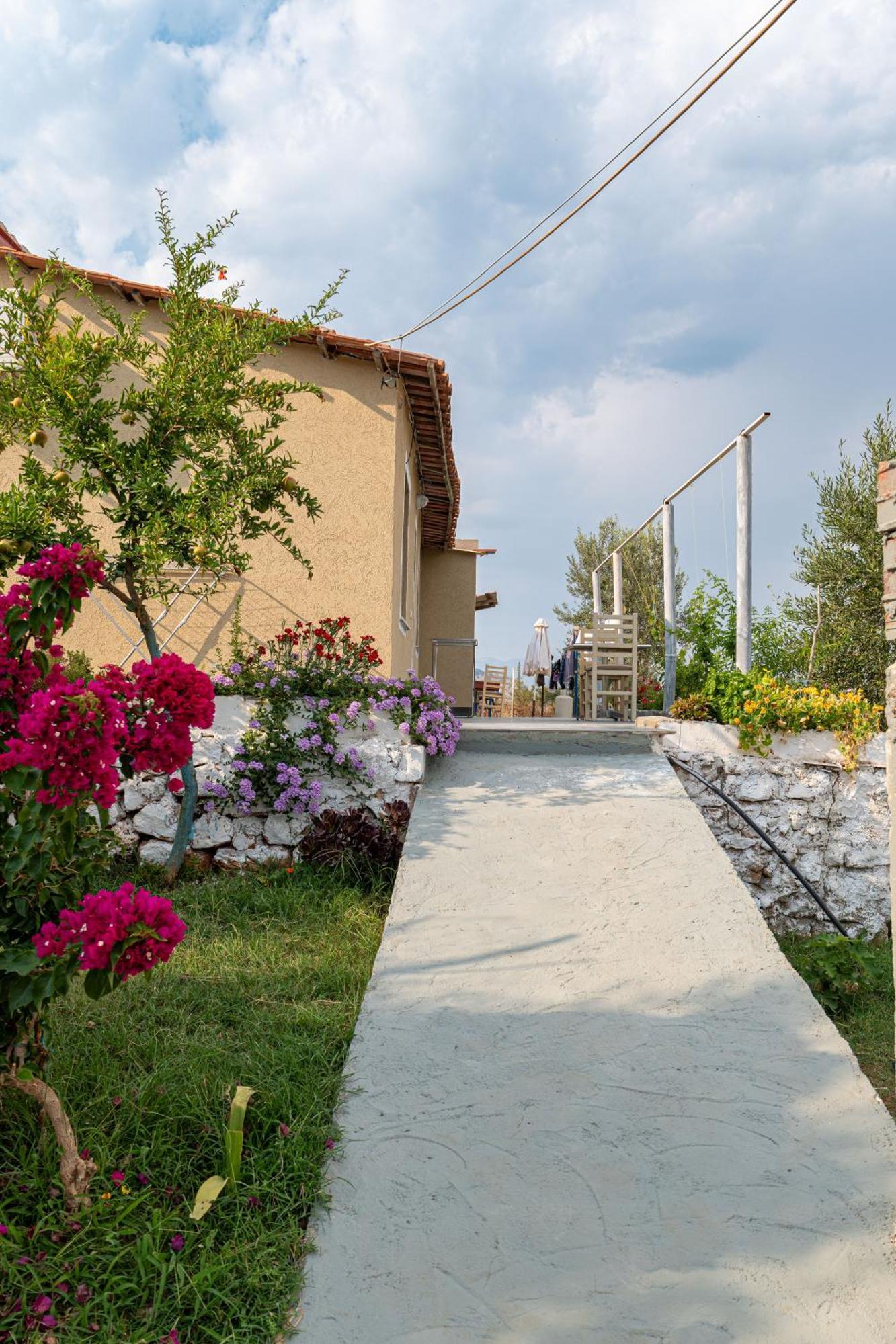 Apartman Disha