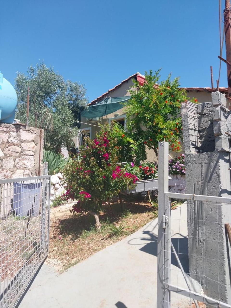 Apartman Disha