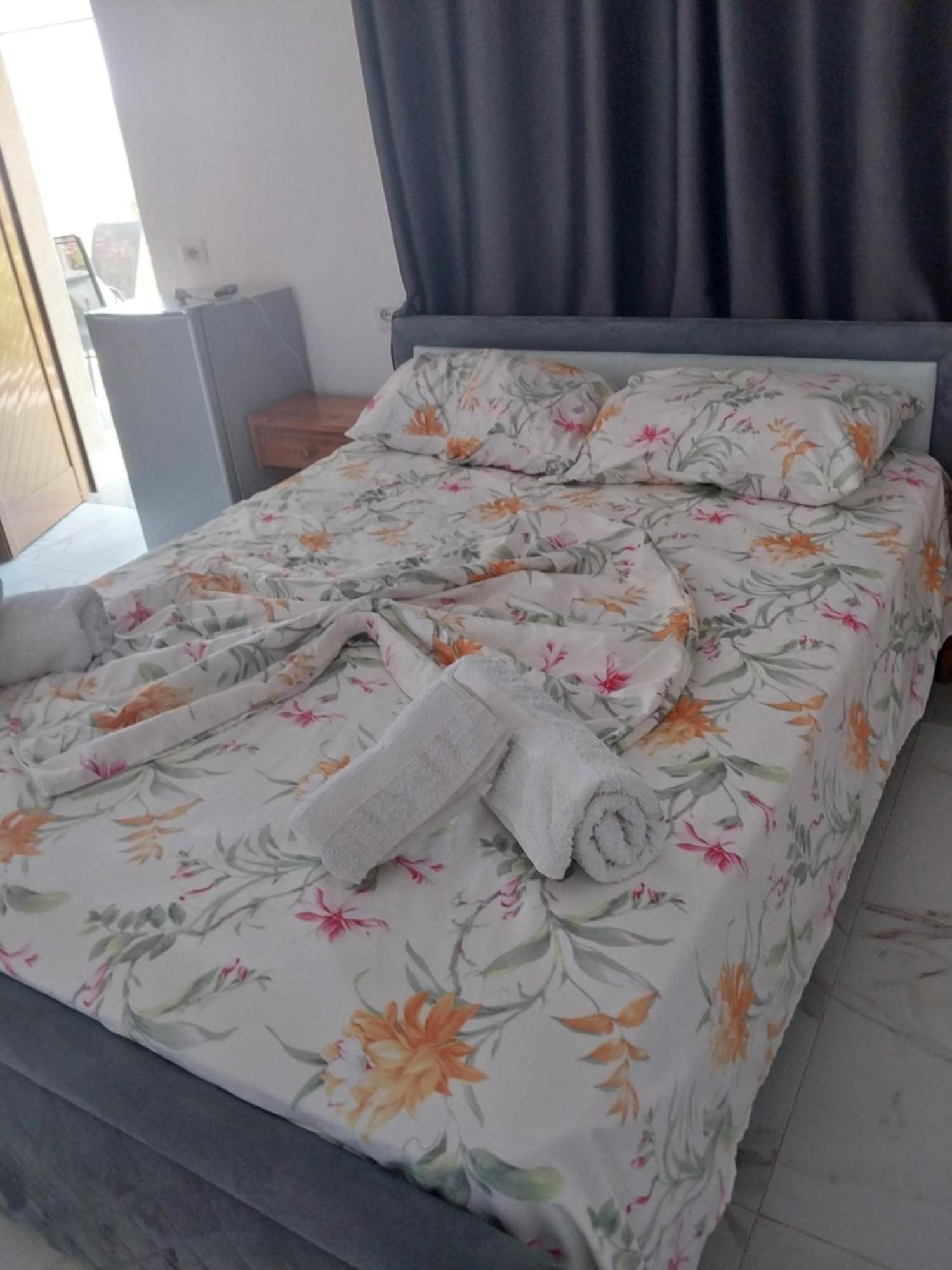 Apartman Disha *