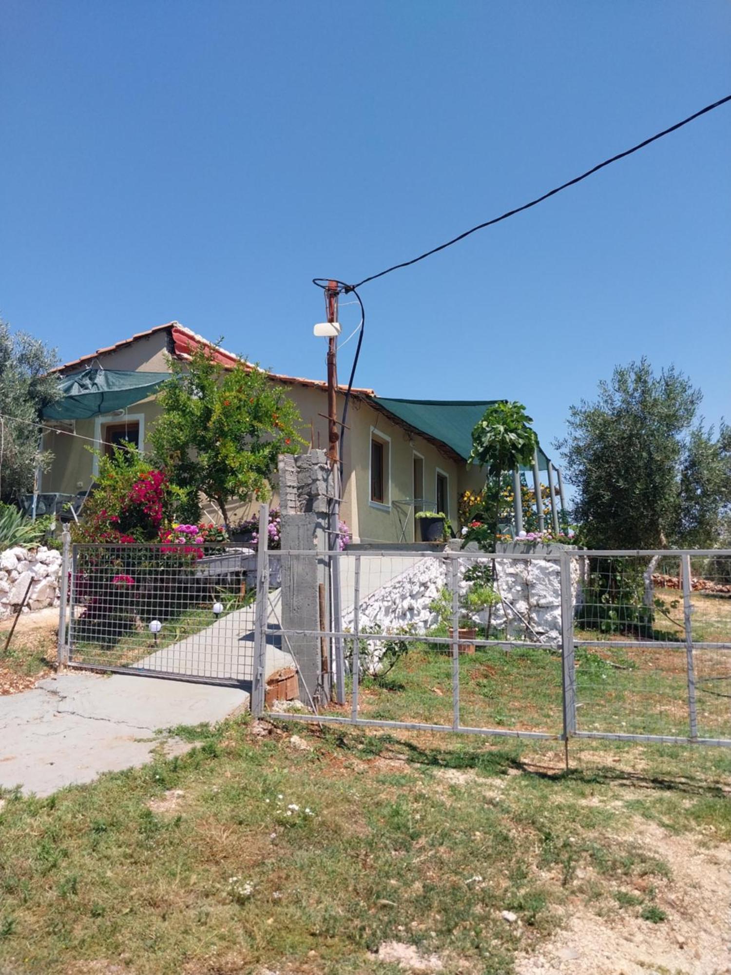 Apartman Disha Ksamil