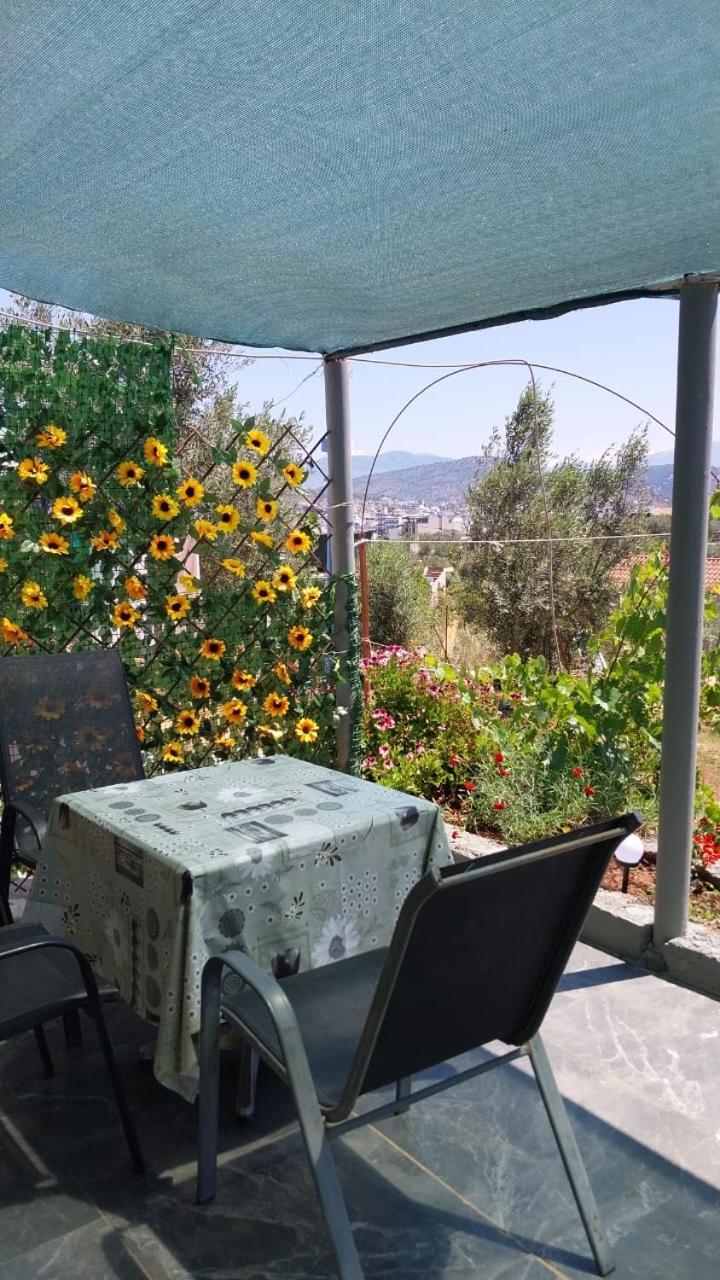 Apartman Disha Ksamil